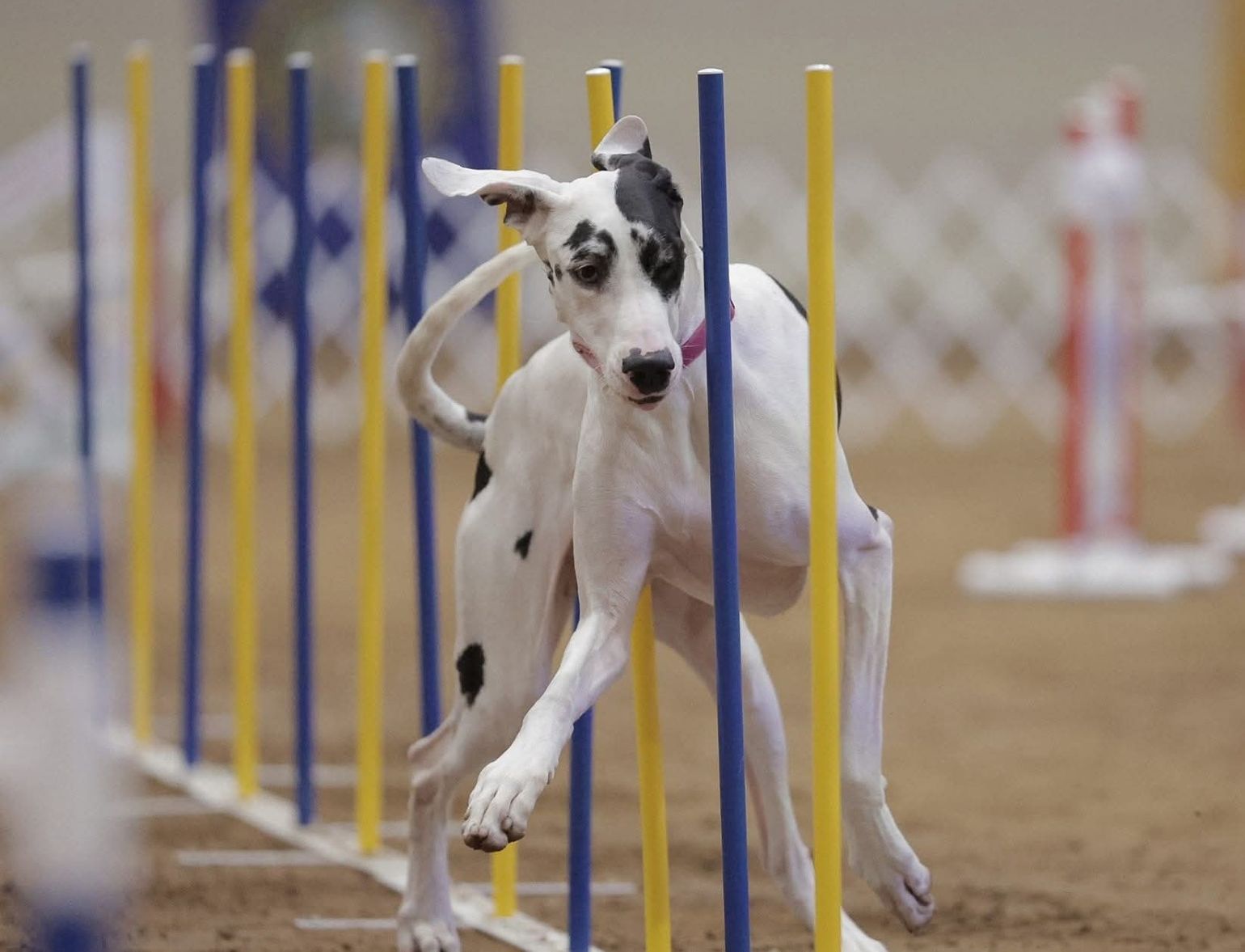 Luna Sheatler Weaves