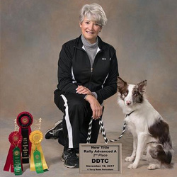 Carolyn Dumaresq kneeling with dogs and awards